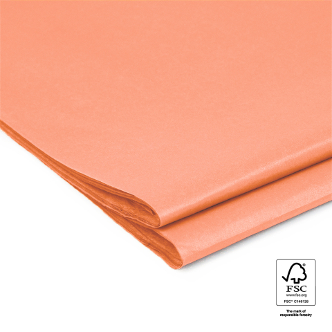 P45.209.070 Tissue Paper - Uni - Salmon